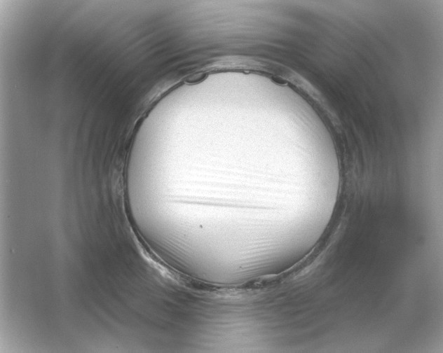 X0000065971049200603241908