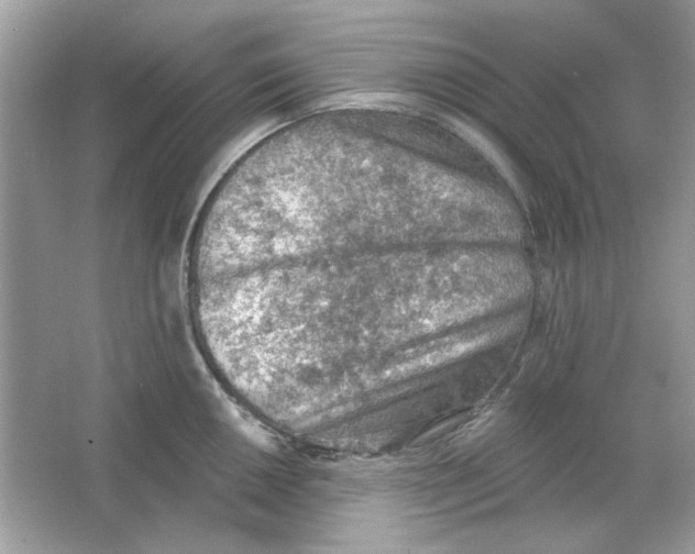 X0000065971050200603241908