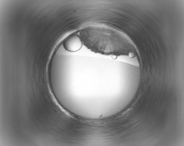 X0000065971053200603241908