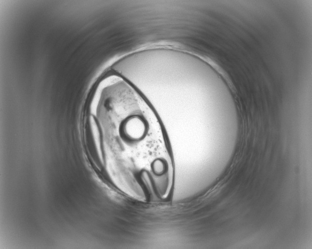 X0000065971054200603241908