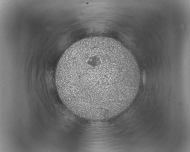 X0000065971059200603241907