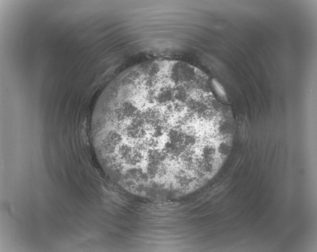 X0000065971060200603241907