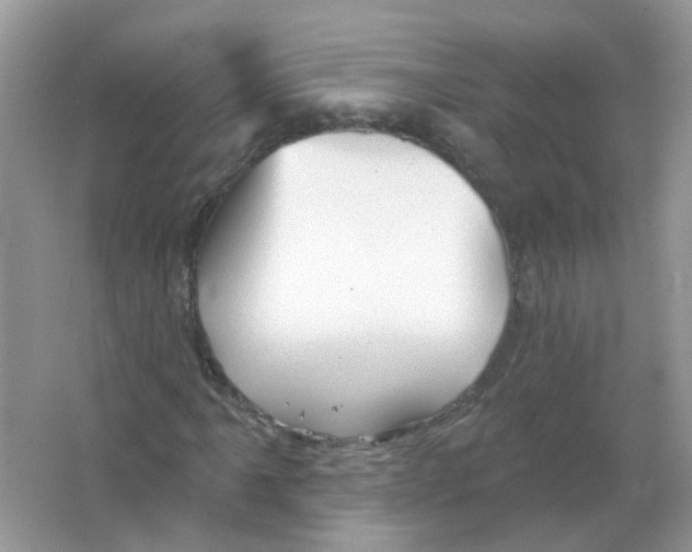 X0000065971061200603241907