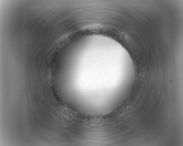 X0000065971062200603241907