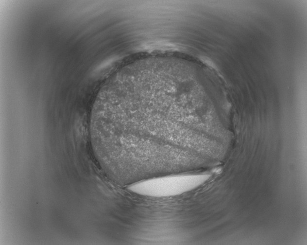 X0000065971063200603241907