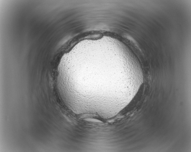 X0000065971064200603241907