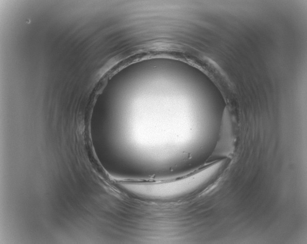 X0000065971065200603241907