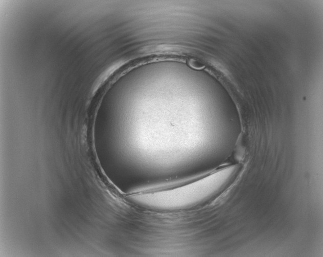 X0000065971066200603241907