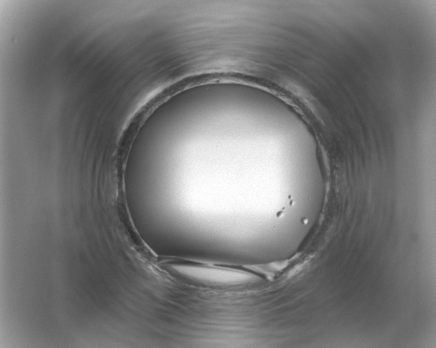 X0000065971069200603241907