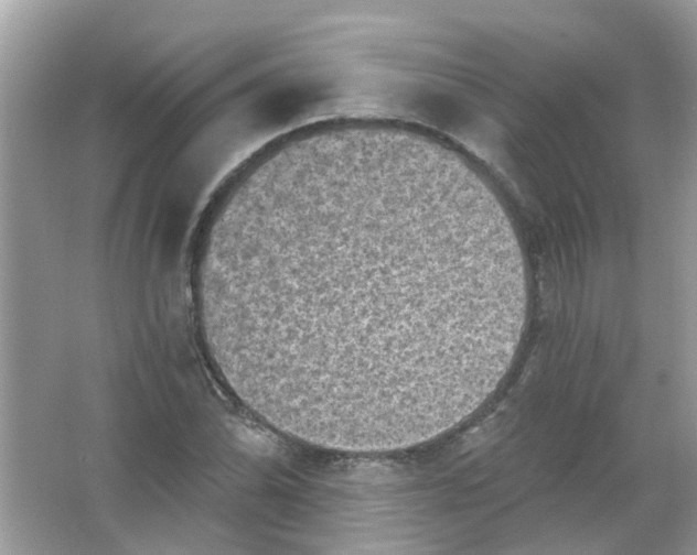 X0000065971070200603241907