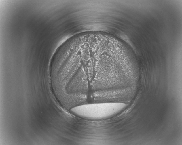 X0000065971071200603241907