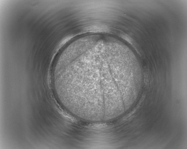 X0000065971074200603241907