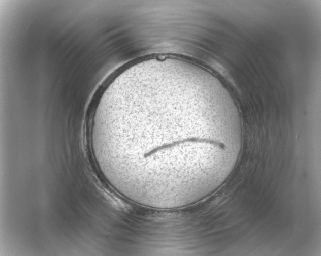 X0000065971076200603241907