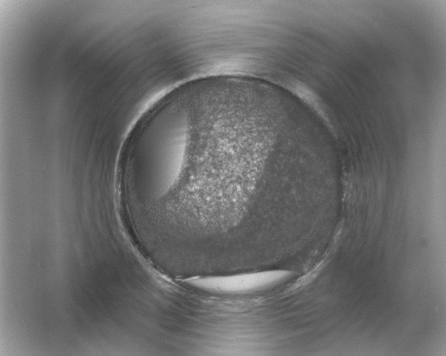 X0000065971077200603241907