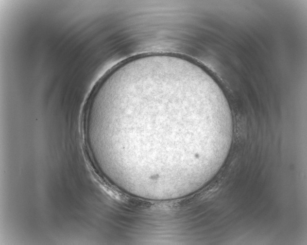 X0000065971078200603241907