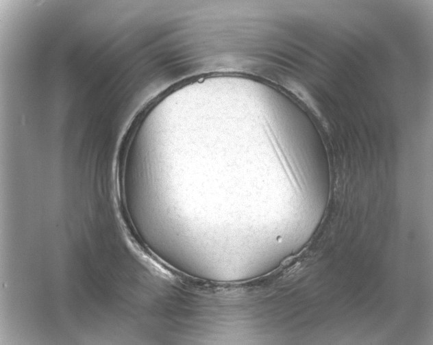 X0000065971080200603241907