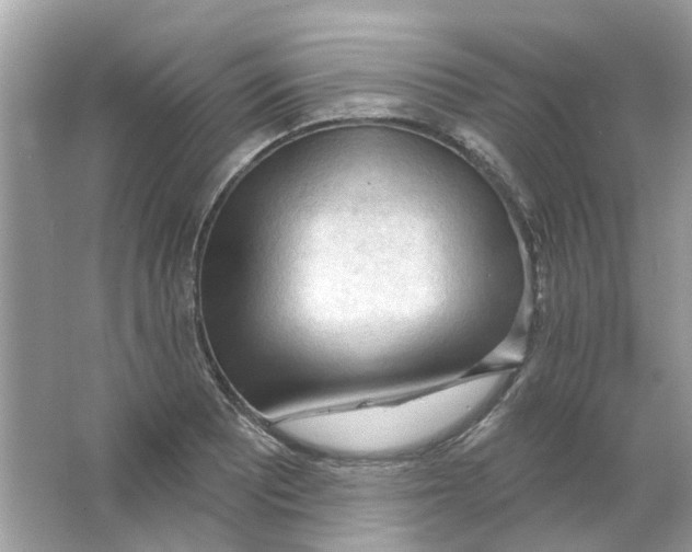 X0000065971081200603241907