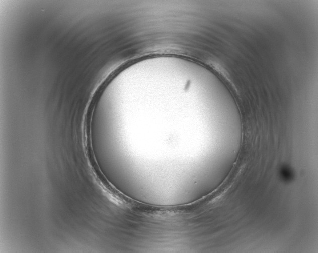 X0000065971082200603241907