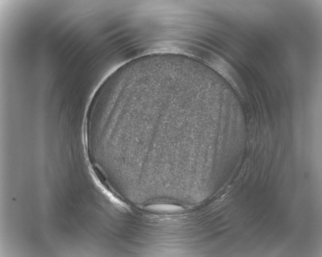 X0000065971084200603241907