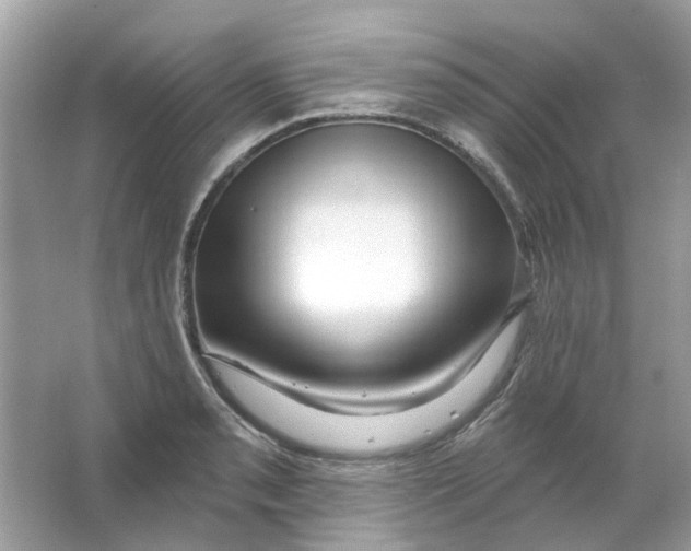 X0000065971085200603241907