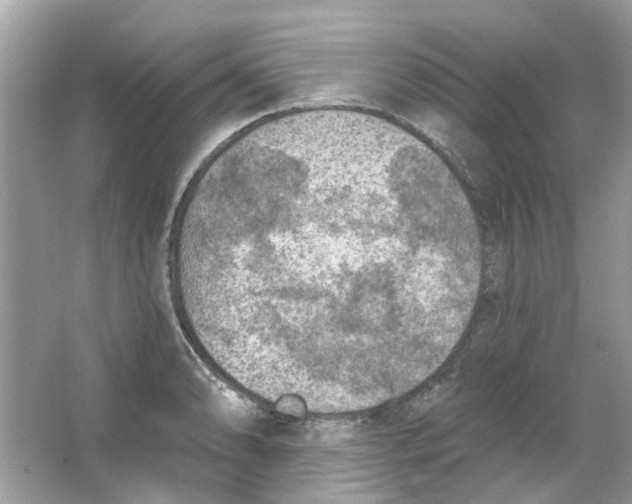 X0000065971086200603241907