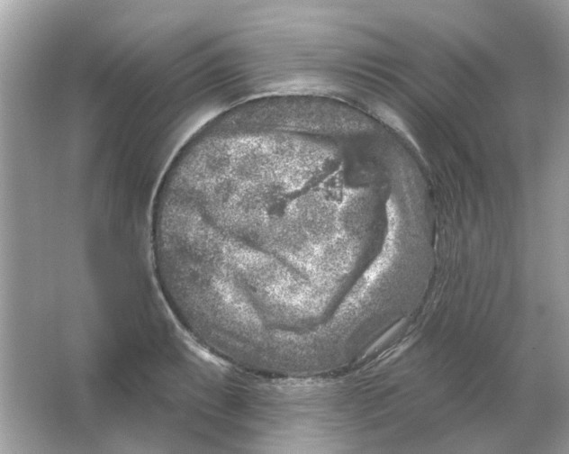 X0000065971087200603241907