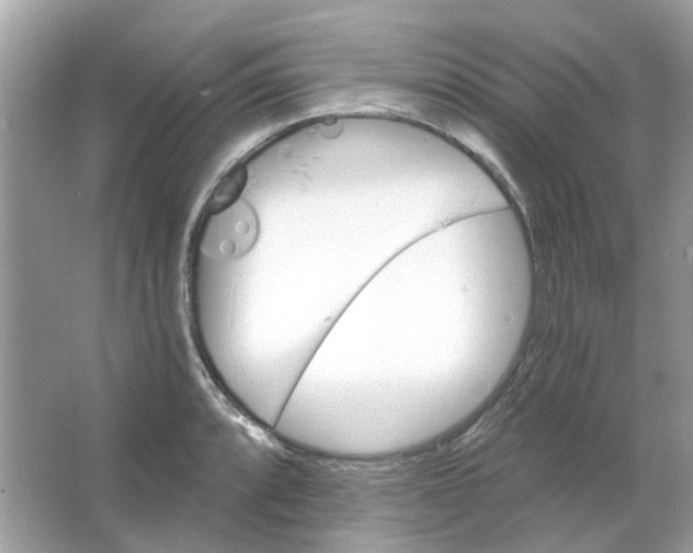 X0000065971088200603241907