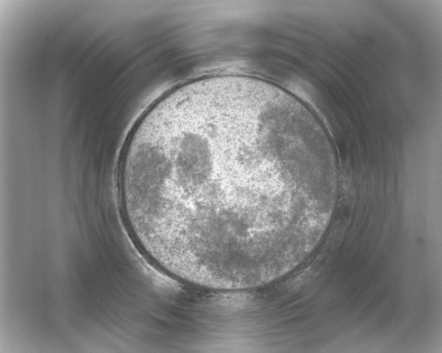 X0000065971090200603241907