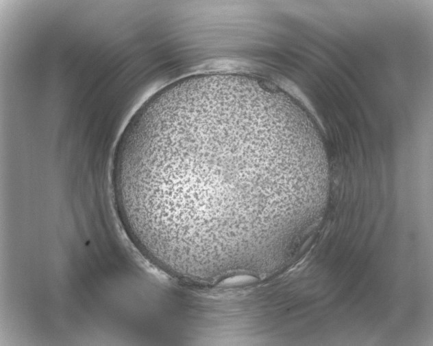 X0000065971091200603241907