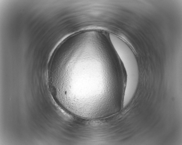 X0000065971092200603241907