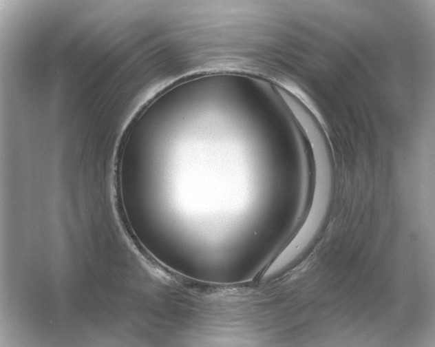 X0000065971093200603241907