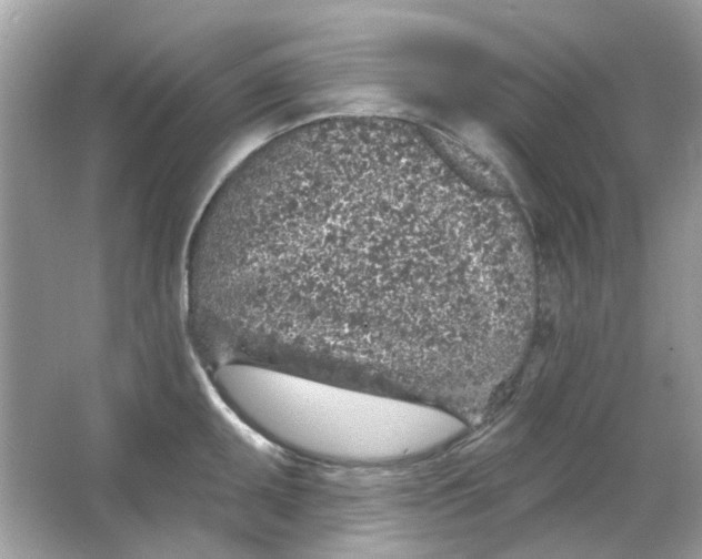 X0000065971095200603241907