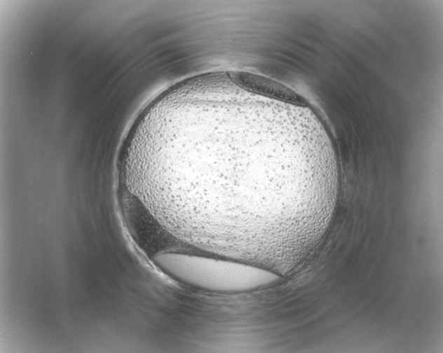 X0000065971096200603241907