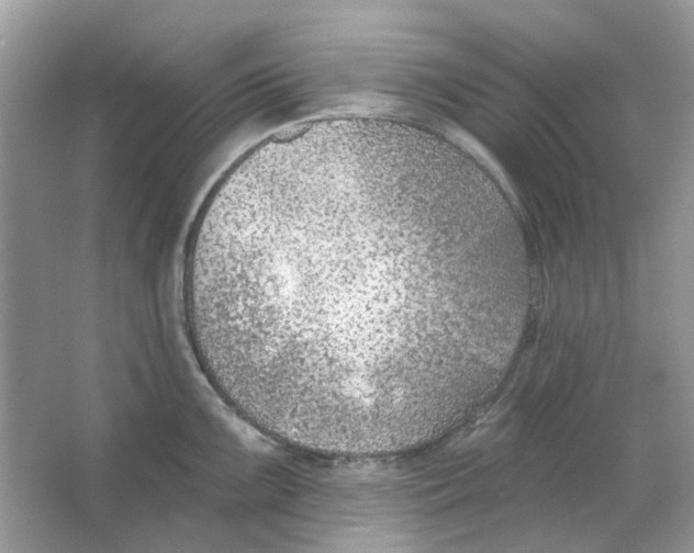 X0000065971099200603241907