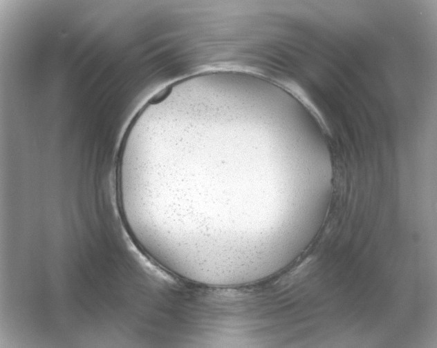 X0000065971100200603241907