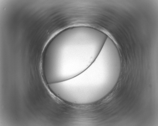 X0000065971101200603241907