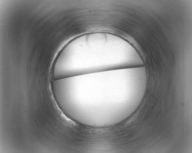 X0000065971102200603241907