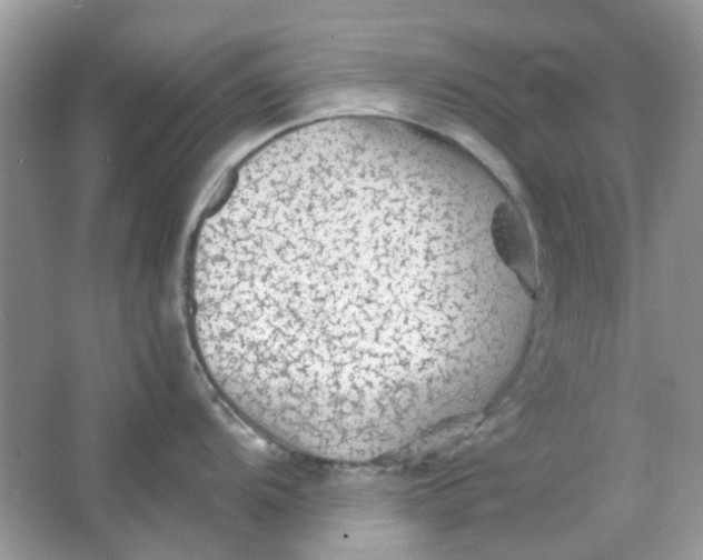 X0000065971104200603241906