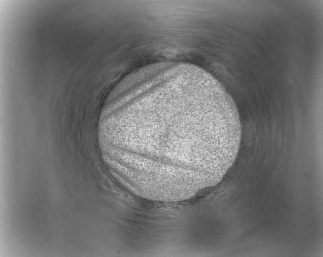 X0000065971105200603241906