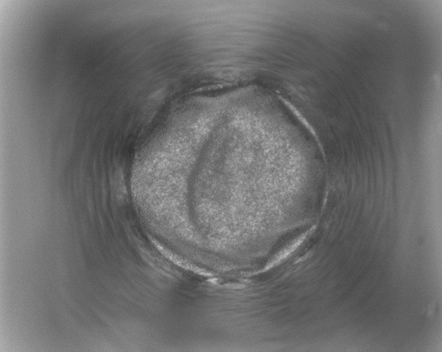 X0000065971106200603241906