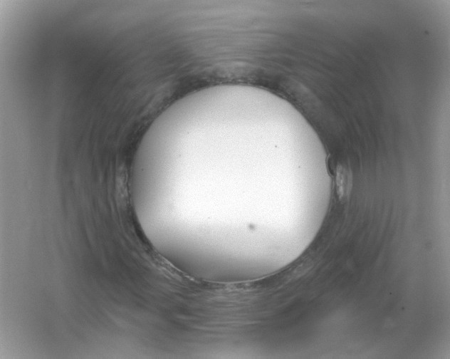 X0000065971107200603241906