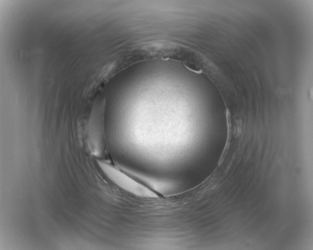 X0000065971108200603241906