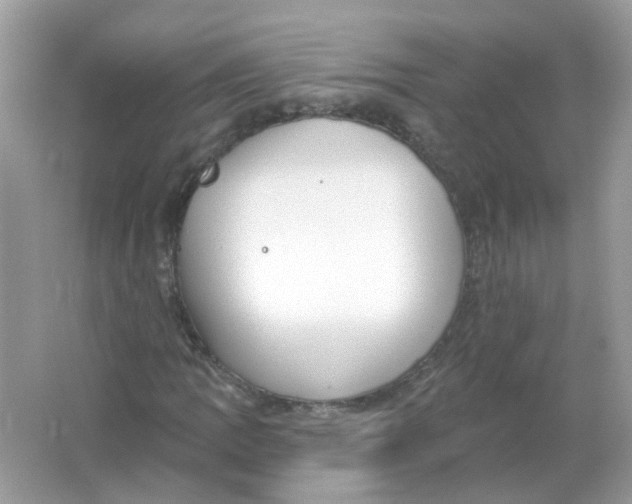 X0000065971109200603241906