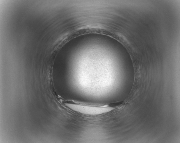 X0000065971110200603241906