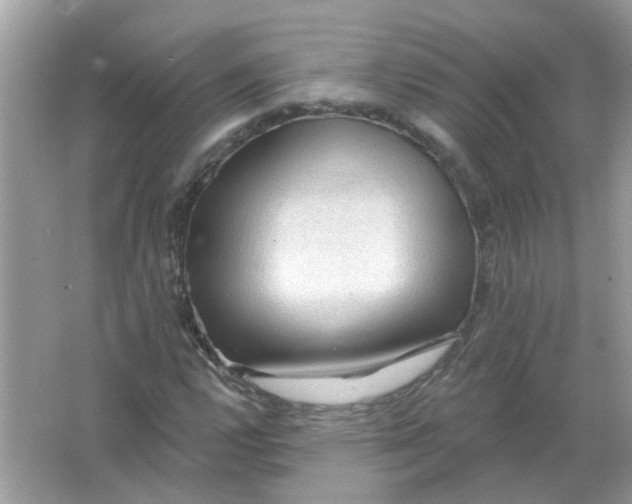 X0000065971112200603241906