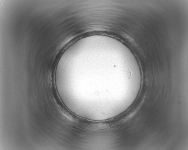 X0000065971113200603241906