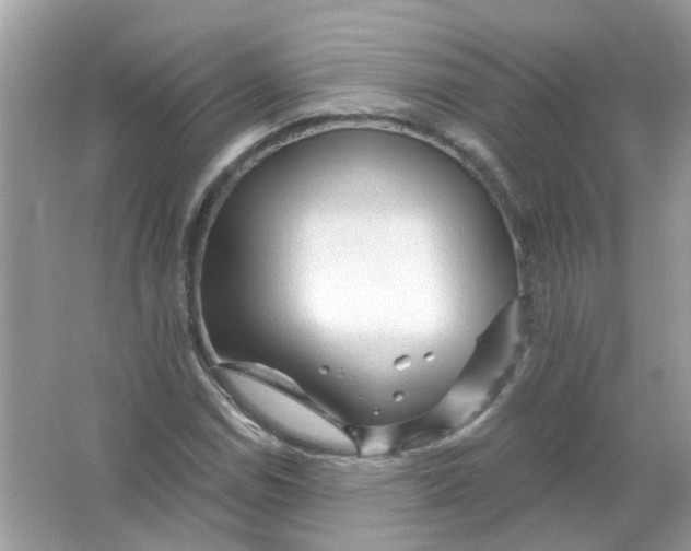 X0000065971114200603241906