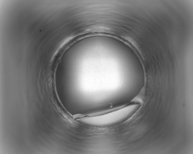 X0000065971115200603241906