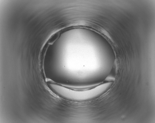 X0000065971116200603241906