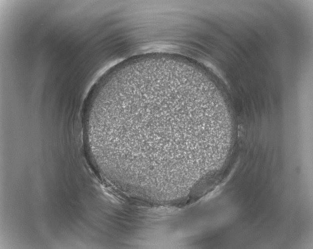 X0000065971117200603241906